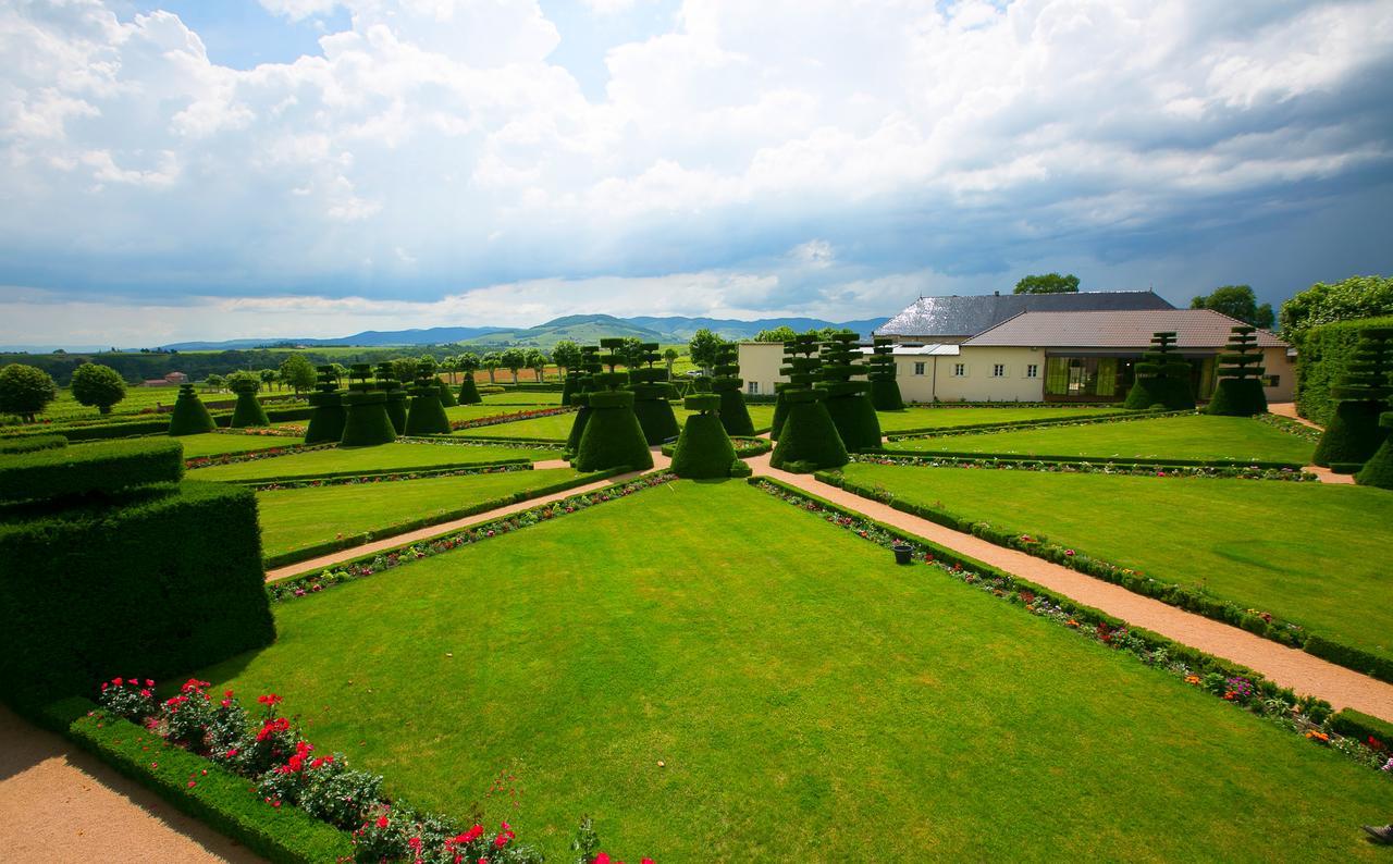 Chateau De Pizay Belleville-sur-Saône Екстериор снимка